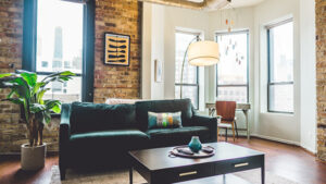 make your rental apartment feel like home with a green sofa, plants, and light