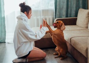 A woman playing with her dog in an apartment while choosing pet-friendly rentals
